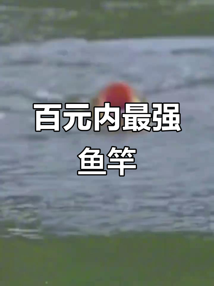100元左右鱼竿推荐,凌天二代小综合竿性价比高