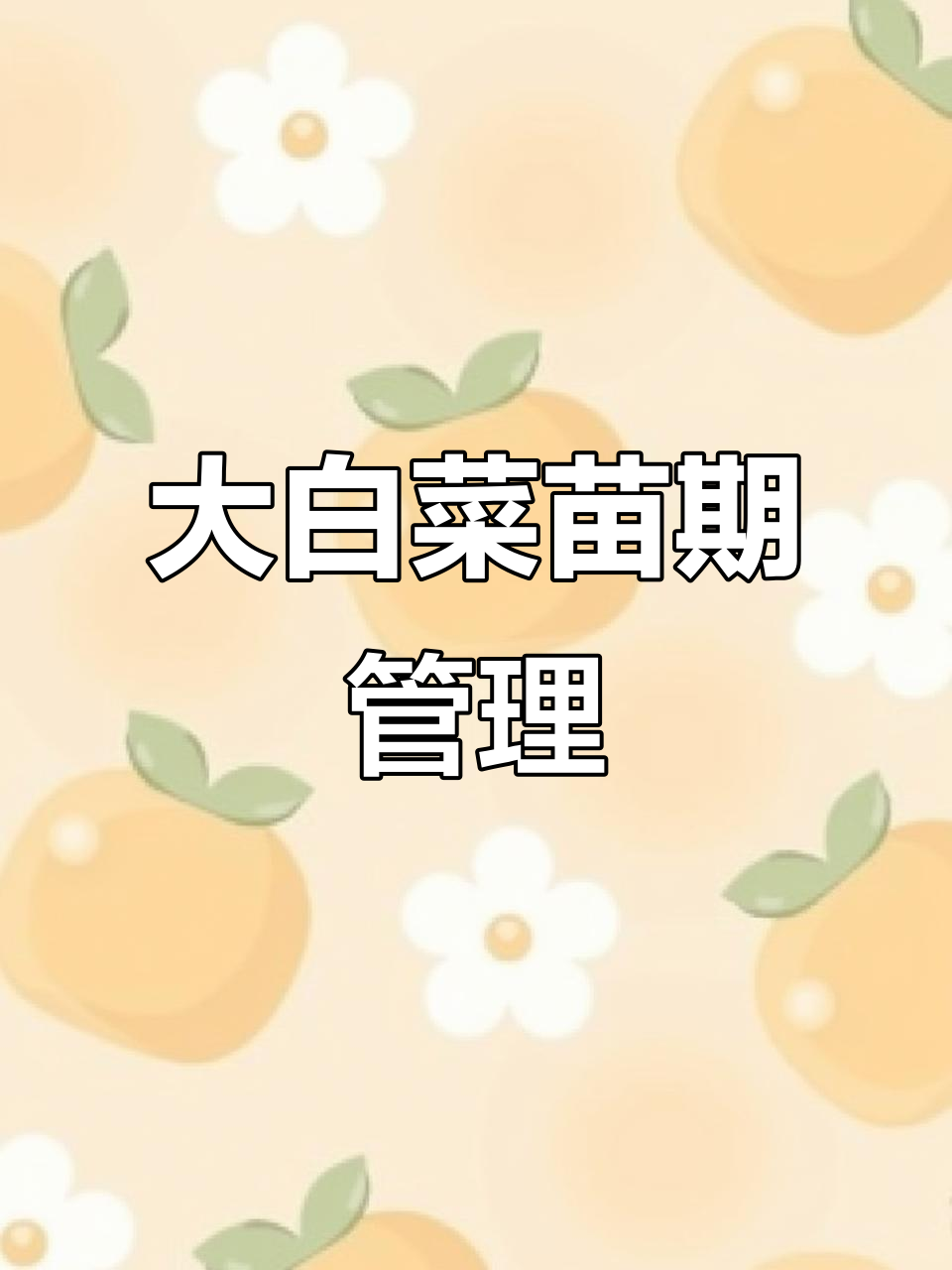 大白菜苗期需保湿,避免阳光直射,确保健康成长