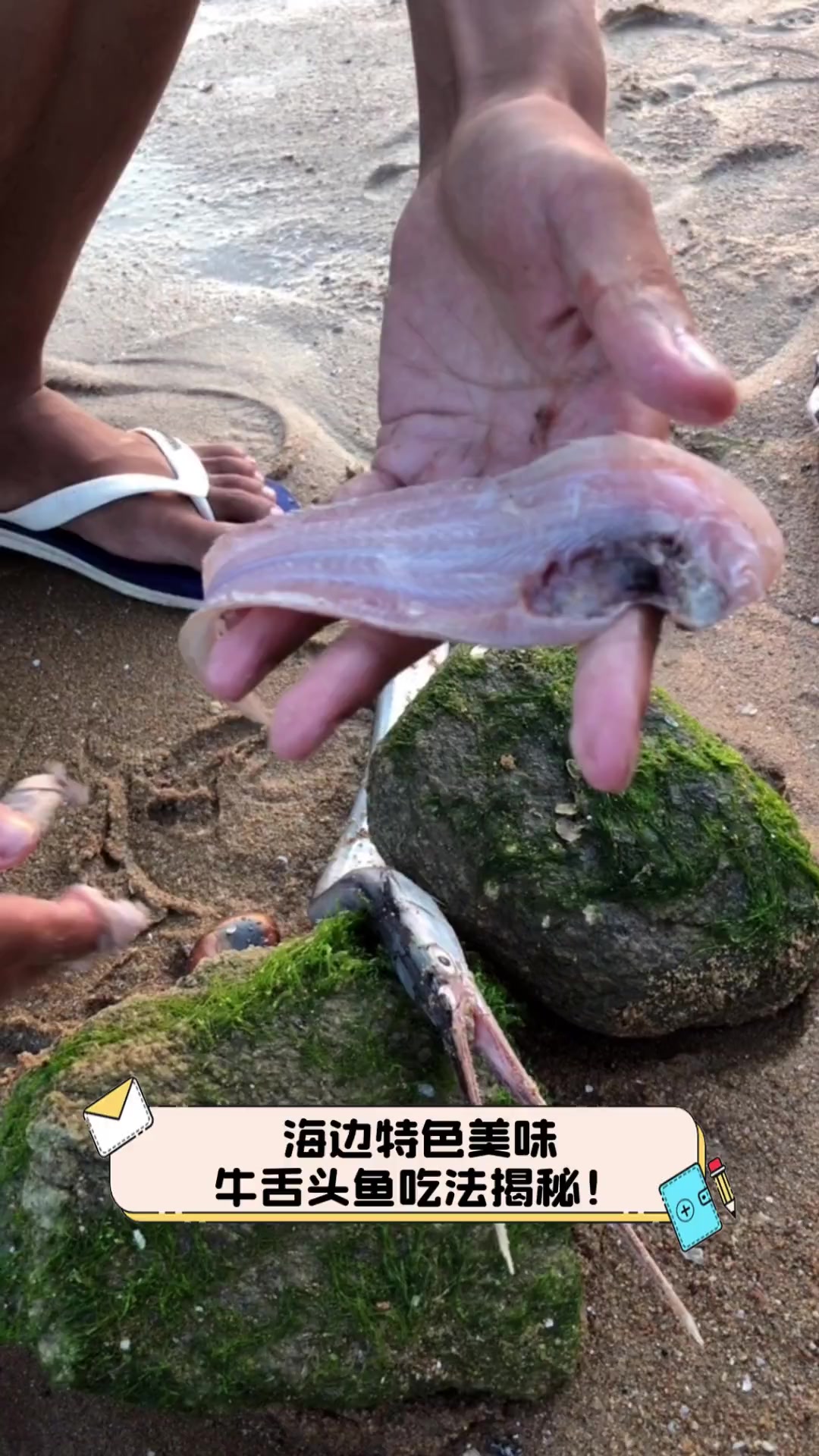 海边特色美味,牛舌头鱼吃法揭秘!