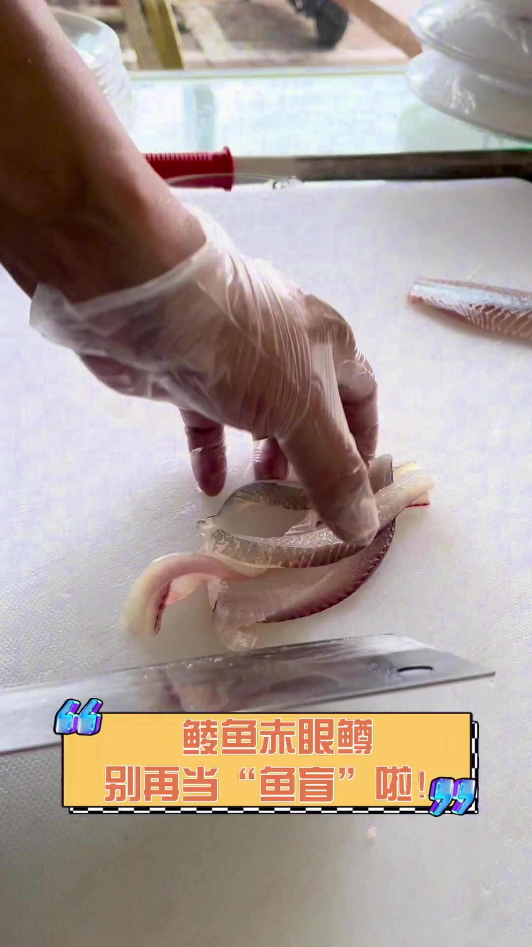 鲮鱼赤眼鳟,别再当“鱼盲”啦!