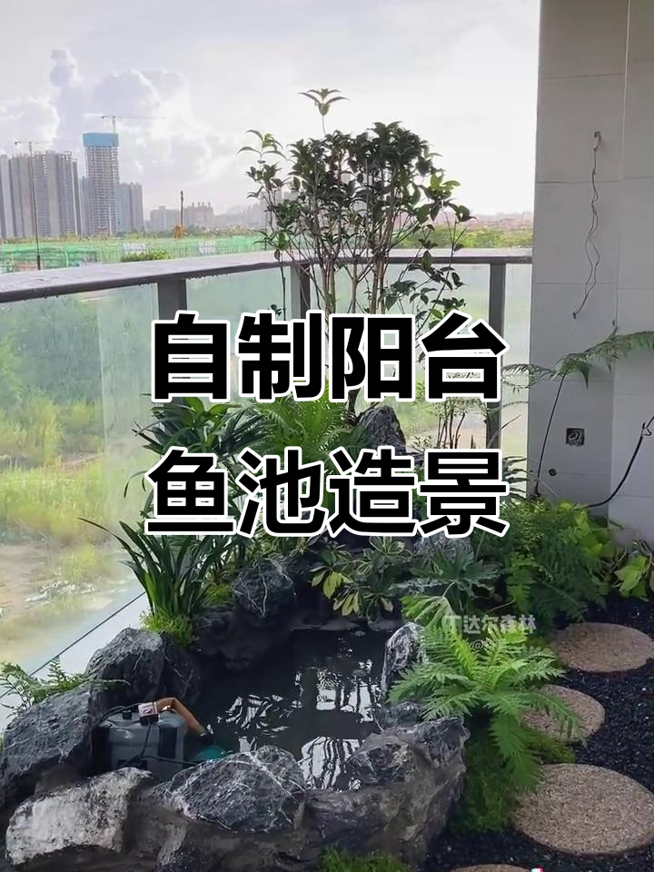 打造阳台鱼池植物景观，享受自然诗意生活