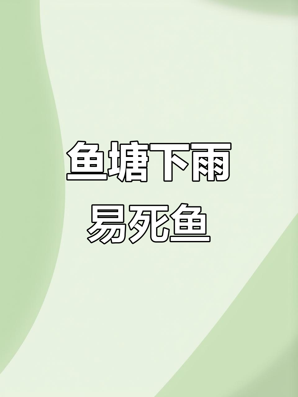 下雨后鱼塘死鱼的四大原因，如何应对？