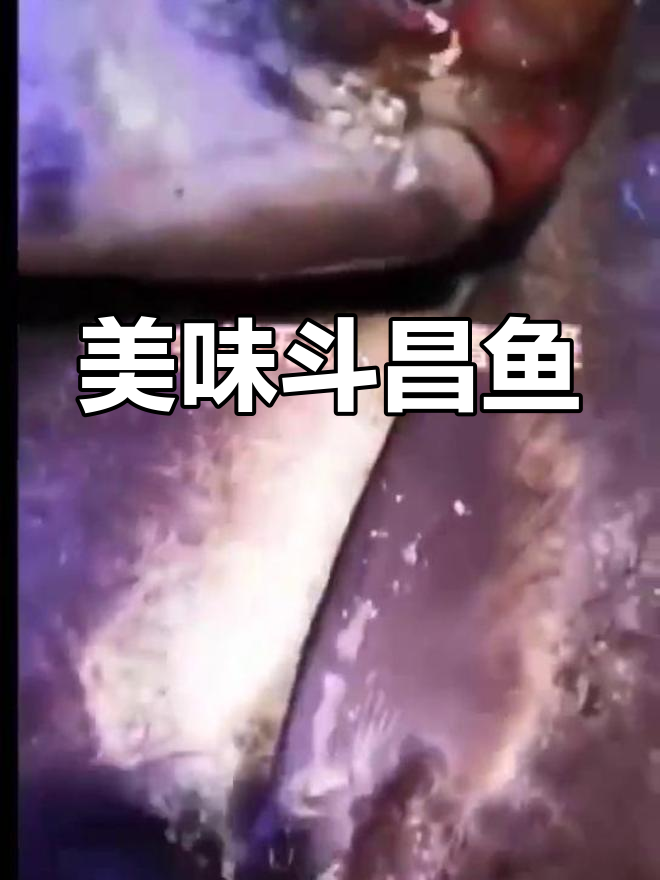 斗鲳鱼:新鲜捕捞,肉质紧致弹牙,口感鲜美无比