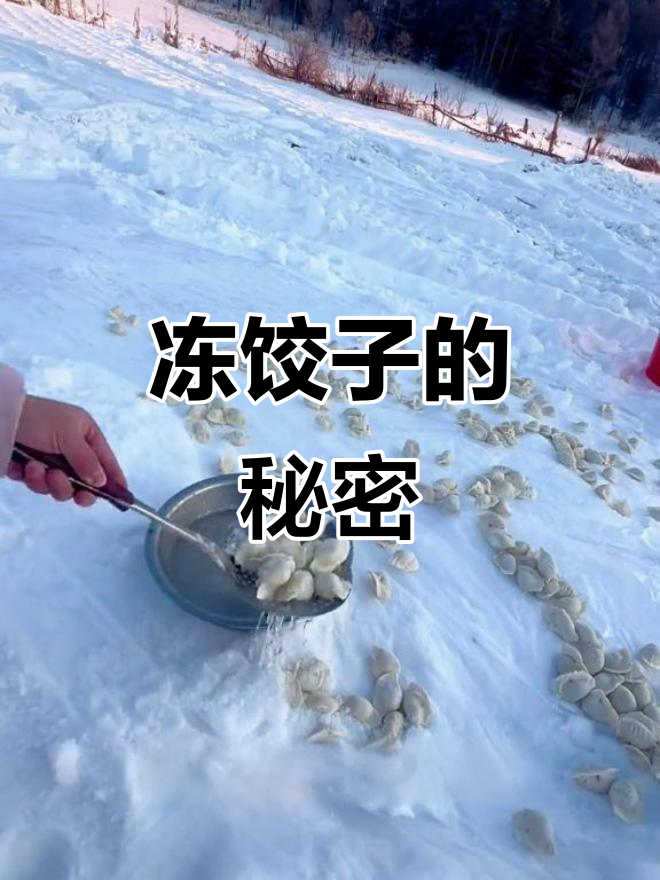 为什么东北冻饺子要先过冷水?竟然是为了这个!
