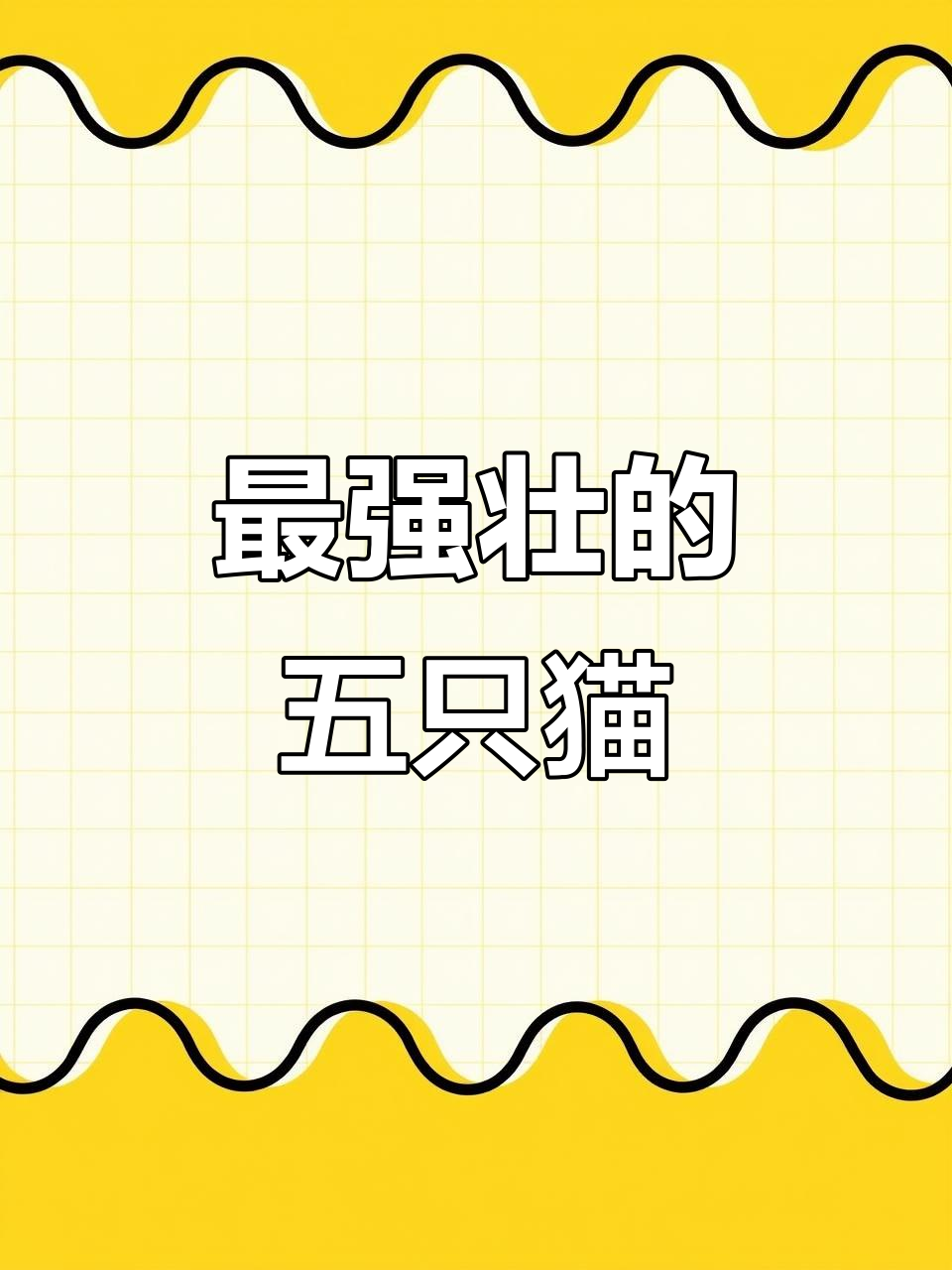 肌肉最发达的五种猫咪，看看哪种最适合你