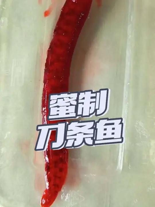 蜂蜜小药腌制的刀条鱼/海泥鳅/高粱叶子 #海钓船钓#海钓#黑头鱼饵