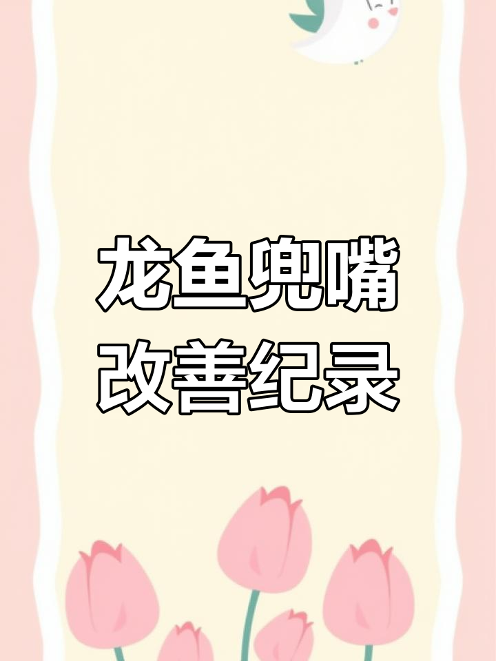 3月8日小金龙鱼兜嘴变化大,全程记录恢复
