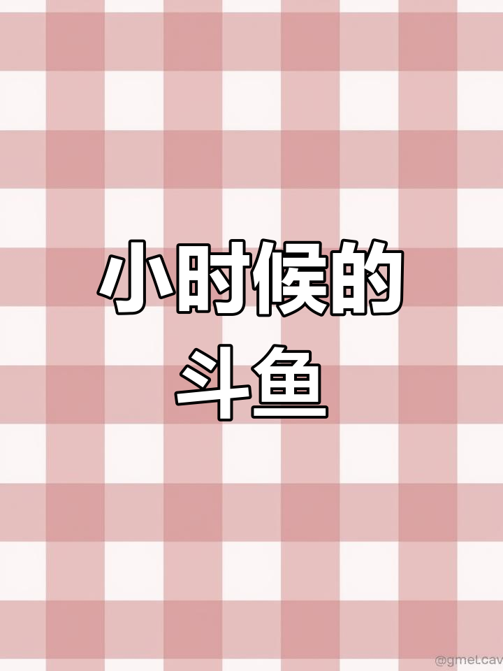 本地斗鱼山斑菩萨,小时候养过这些吗?