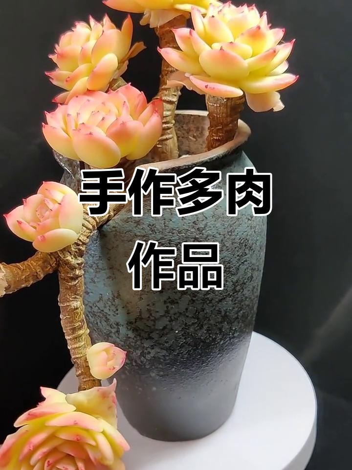 手工打造可爱多肉植物,创意满满超有趣