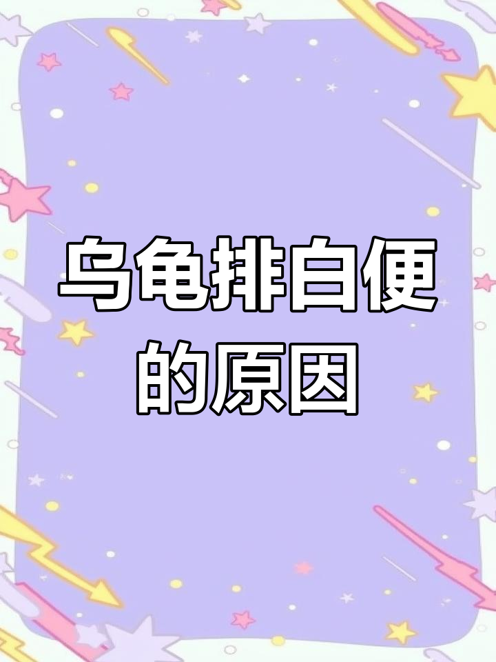乌龟拉出白色物质,是正常现象还是生病了?