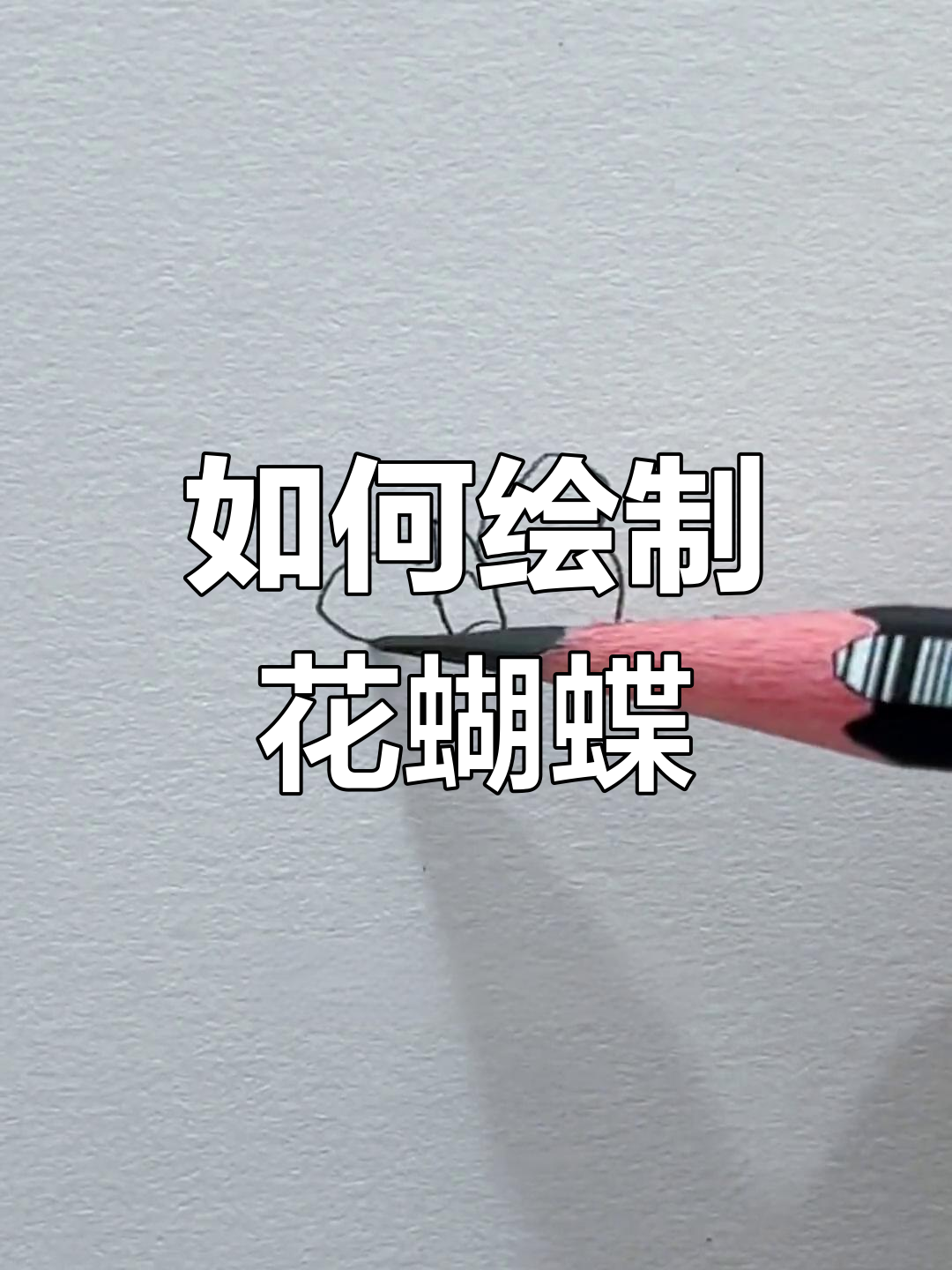 素描蝴蝶画法详解