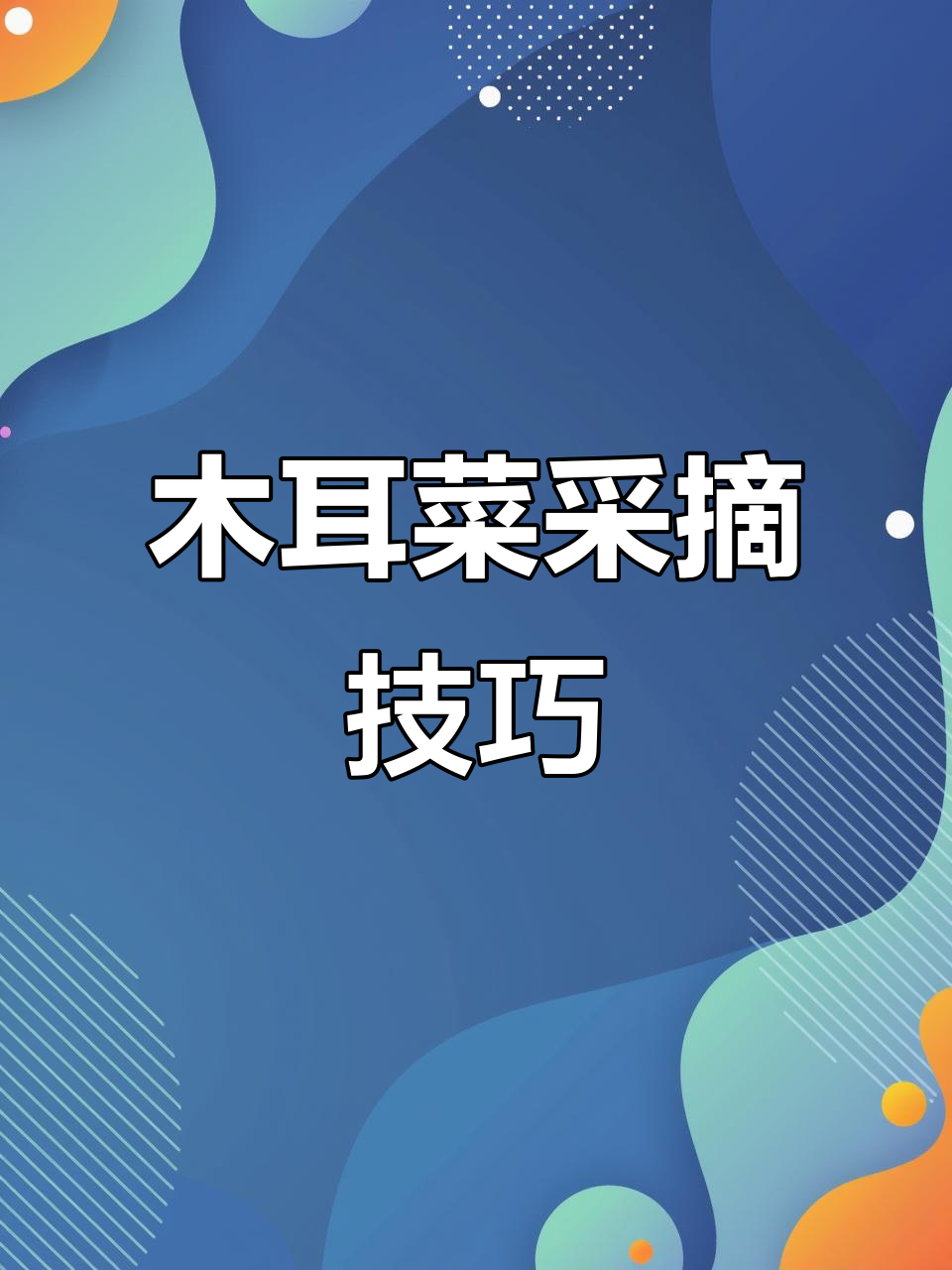木耳菜采摘技巧大公开,轻松学会种植小妙招