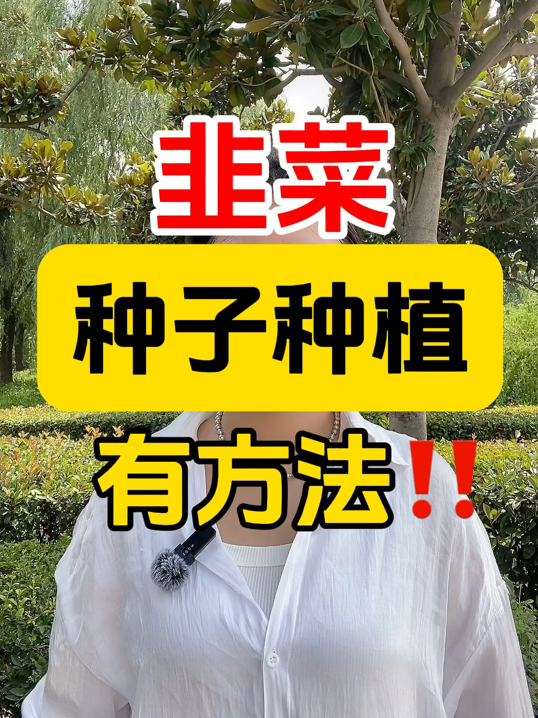 韭菜种子竟然要这么种!