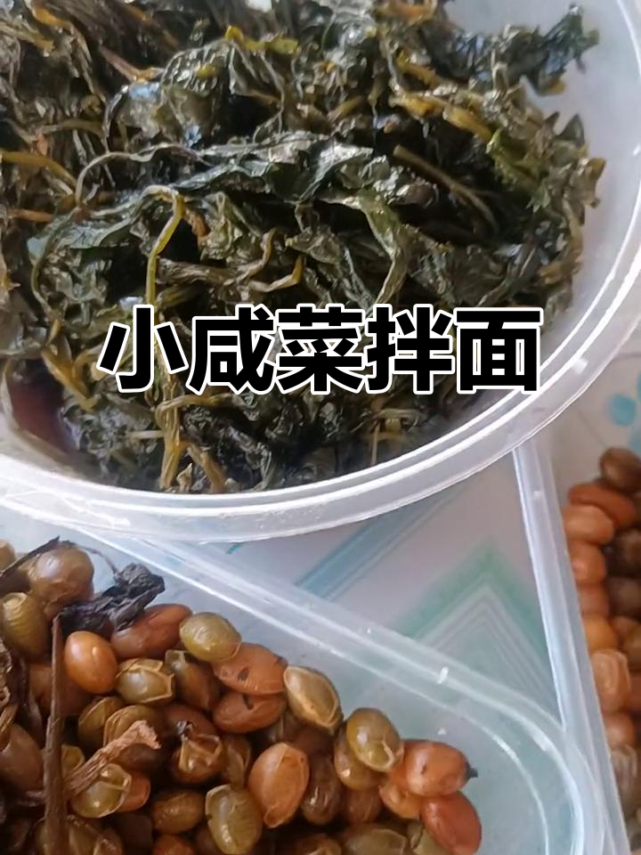 芹菜叶配卤肉酱,小咸菜与螺片面的完美搭配