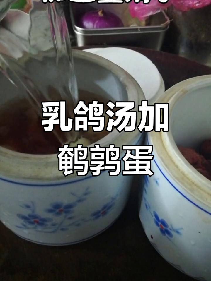 滋补乳鸽汤,搭配鹌鹑蛋和红枣枸杞,营养翻倍!