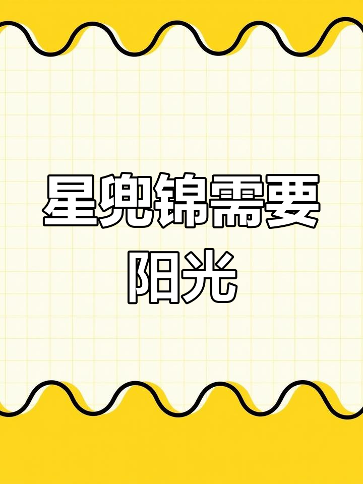 星兜锦仙人球到货,颜色变化需阳光