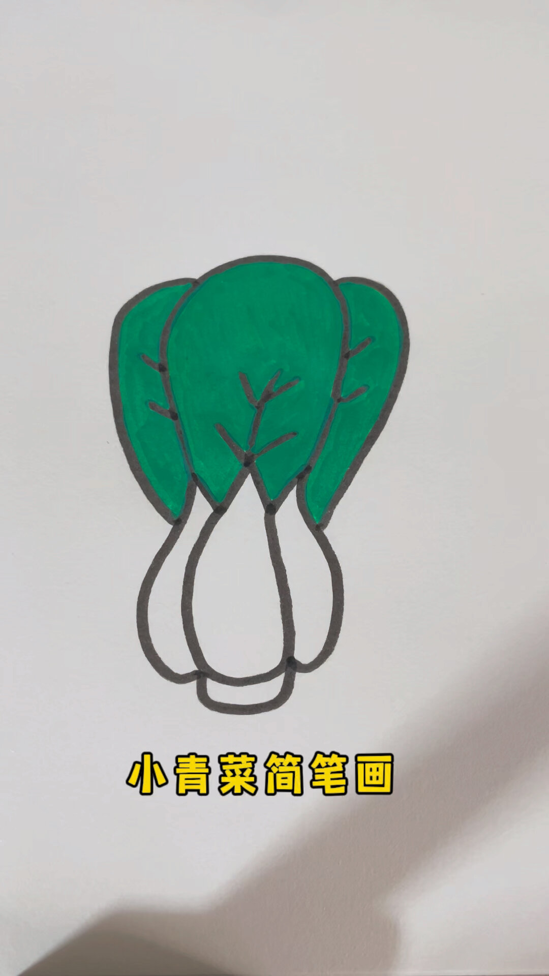青菜简笔画