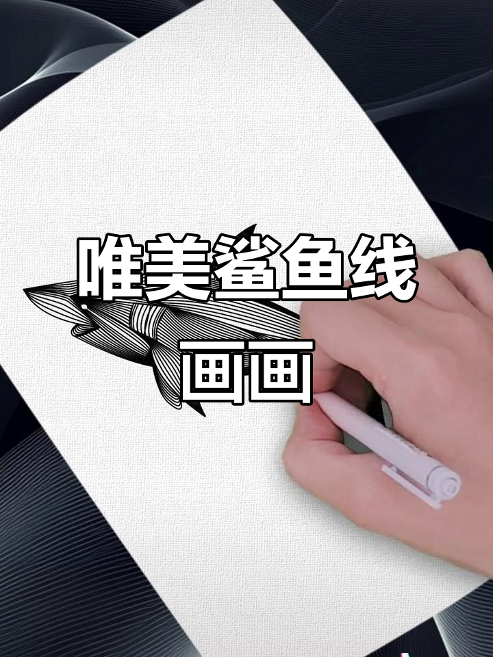 鲨鱼线条画,丝滑解压的绘画体验
