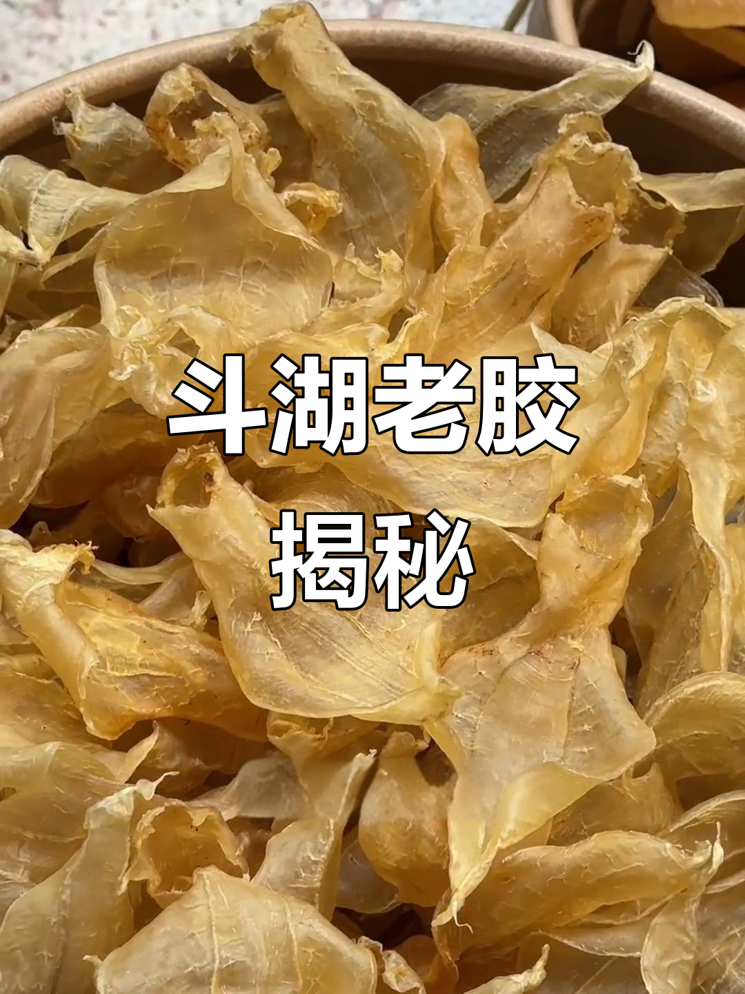 老白花鱼胶，斗湖老胶的魅力与秘密