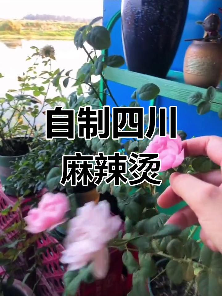 成都家庭版麻辣烫做法