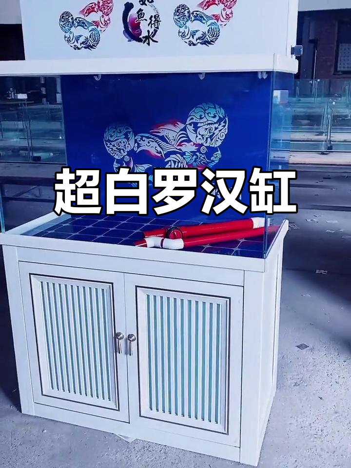 罗汉缸与超白鱼缸的完美结合,打造水族界的璀璨光影