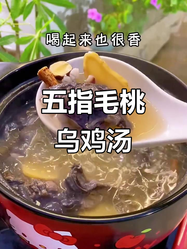 秋季滋补乌鸡汤,五指毛桃搭配更美味