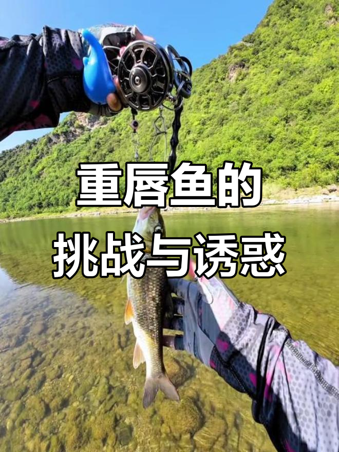 夏季重唇鱼难钓，但路亚高手眼中它价值连城！