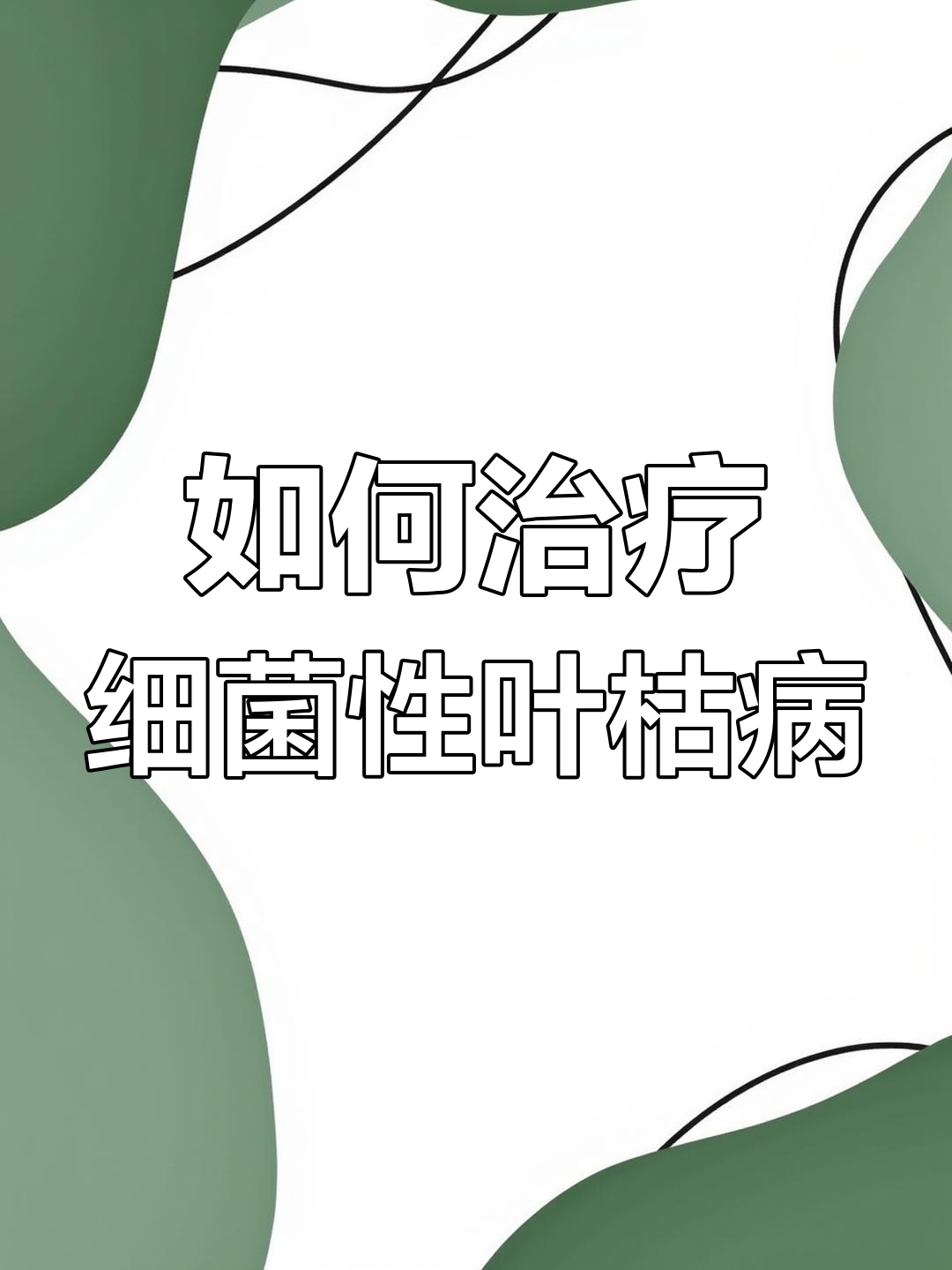 细菌性叶枯病如何用药?这些方法效果显著