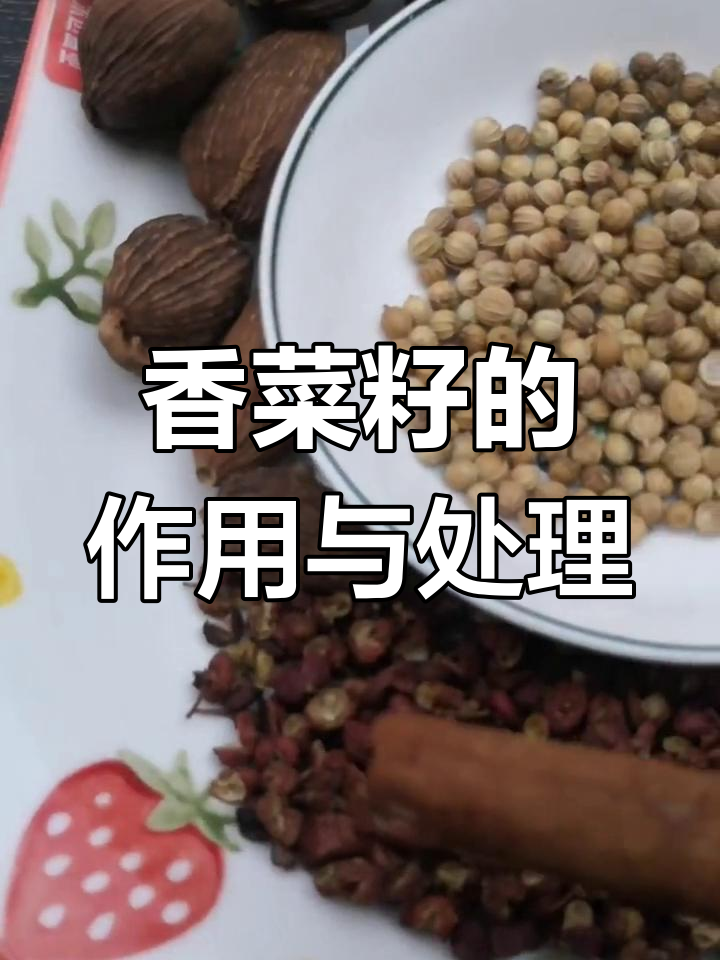 香菜籽在卤制中的独特作用与预处理方法
