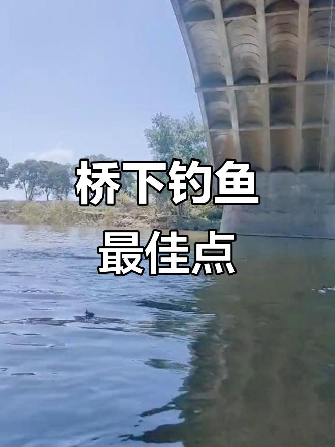 桥底钓位揭秘,鱼群必经之路!水深有结构,浮钓草鱼的绝佳位置