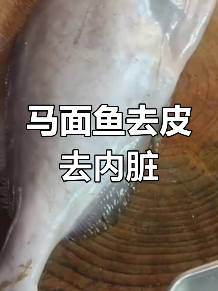 潮汕马面鱼剥皮技巧,四斤大狄钵鱼肉质鲜嫩