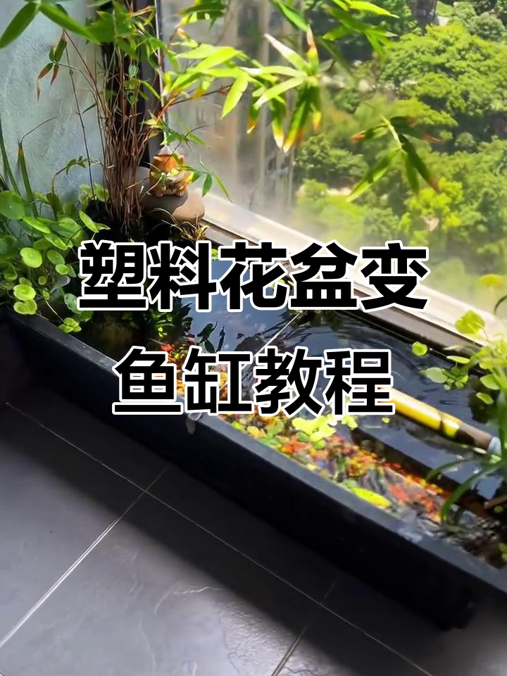 用废旧花盆打造阳台鱼缸,简单几步搞定!