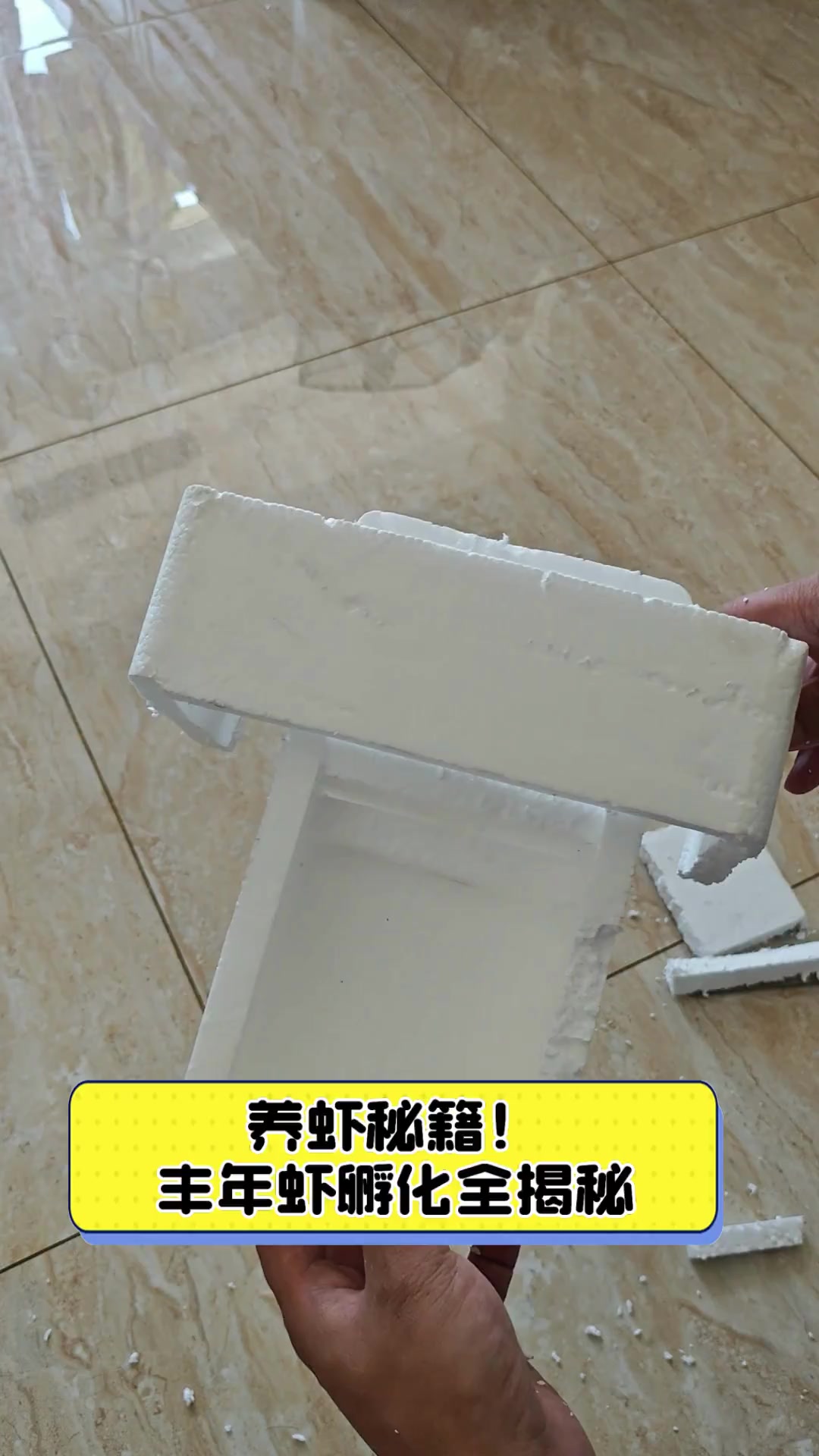 养虾秘籍!丰年虾孵化全揭秘