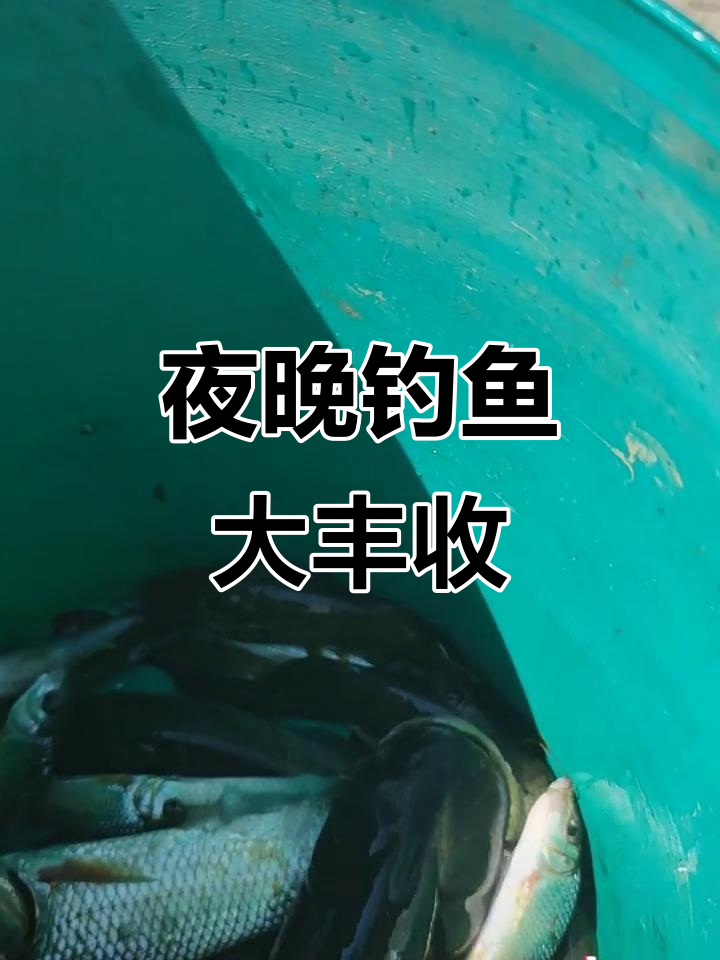 钓鱼人夜钓收获,虫虫多到吃不停