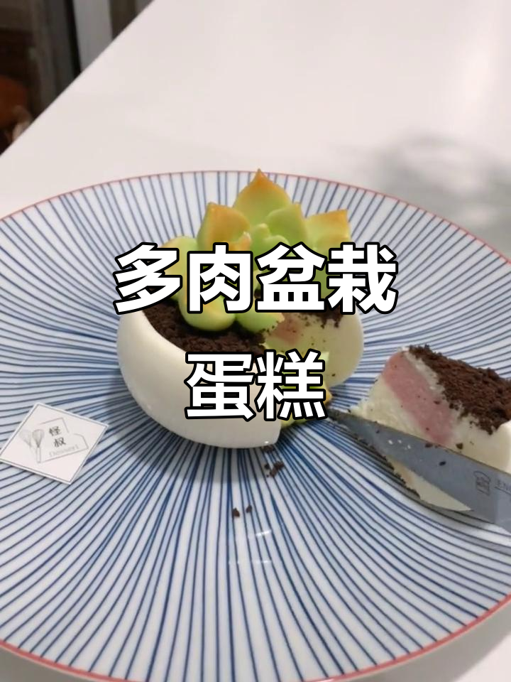 创意多肉盆栽蛋糕,口感丰富,零基础也能轻松制作