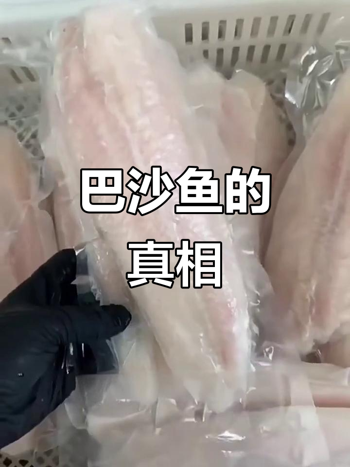 巴沙鱼竟是越南鲶鱼,烤鱼界的秘密让人震惊