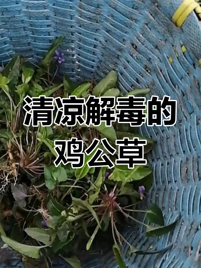 鸡公草能清热解毒,试试这个效果