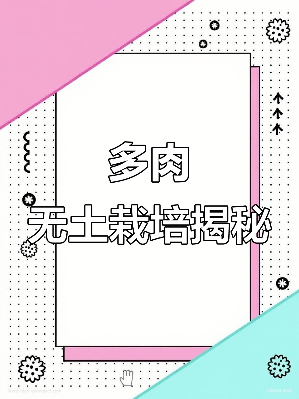 无土多肉生产基地全景展示,真实记录生长过程