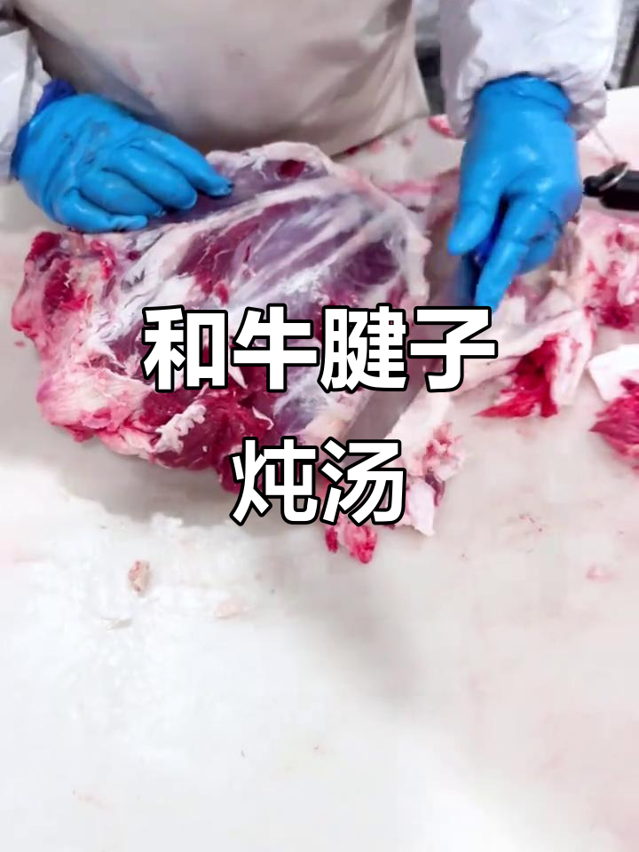牛腱子肉炖汤,口感软嫩拉丝黏唇,和牛肉质绝了!