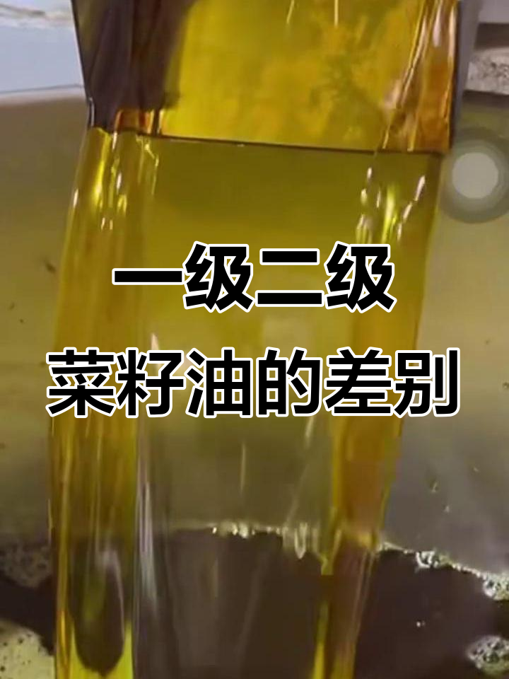 一级菜籽油与二级的区别:精炼程度和营养成分大揭秘