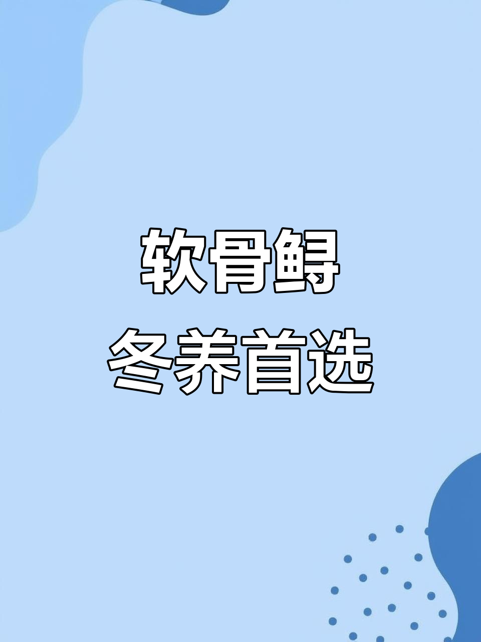 冬季适合养的鲟鱼,软骨龙鱼轻松长成