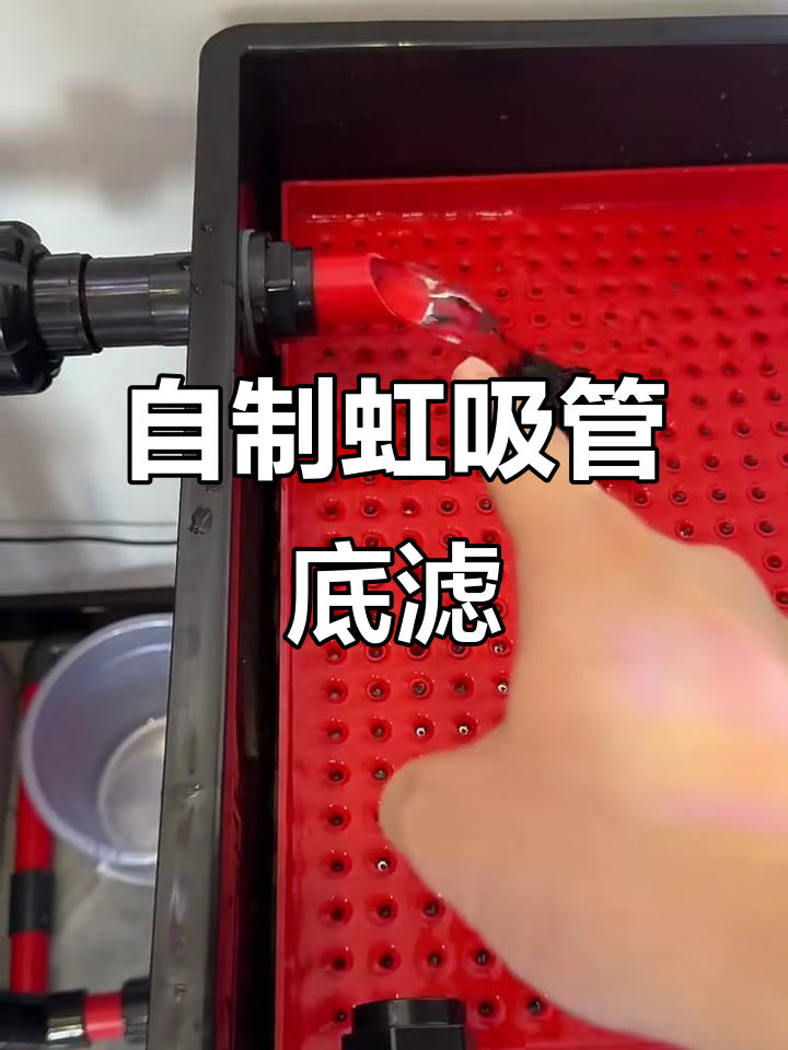 免打孔虹吸底滤原理与制作方法