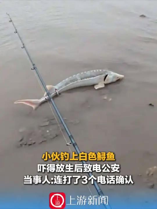 11月18日（发布），江西，小伙钓上白色鲟鱼吓得放生后致电公安，当事人：连打了3个电话确认