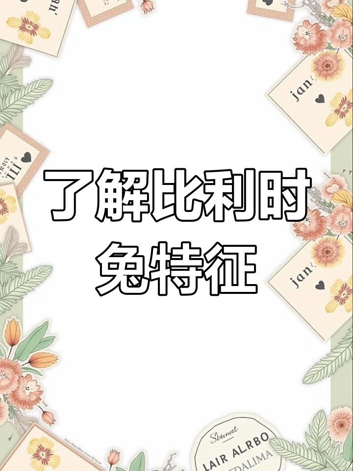 比利时兔:古老大型肉兔品种,外貌与野兔相似