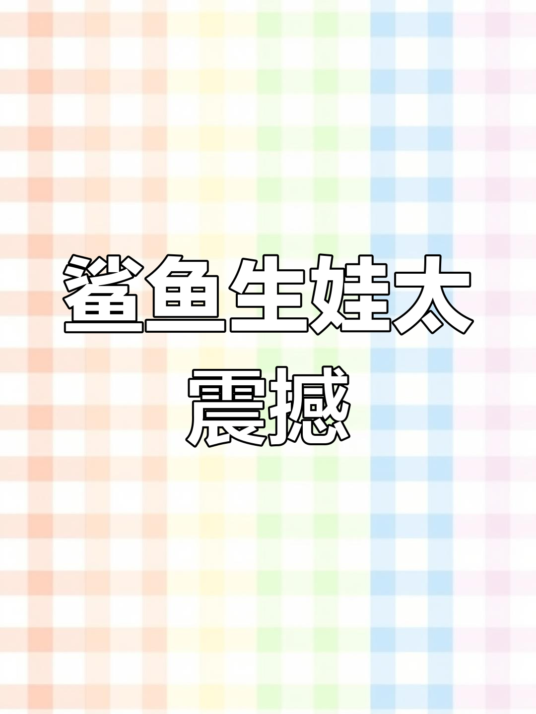 5月6日鱼店惊现鲨鱼生崽,罕见一幕令人震惊!