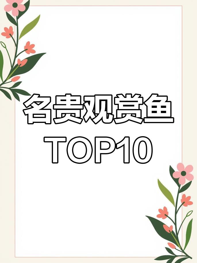 十大最名贵的观赏鱼,看看你认识几种?