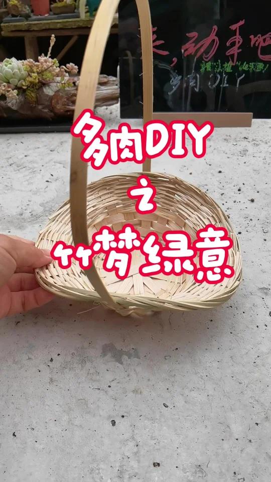 多肉控的天堂!竹篮种出治愈小森林