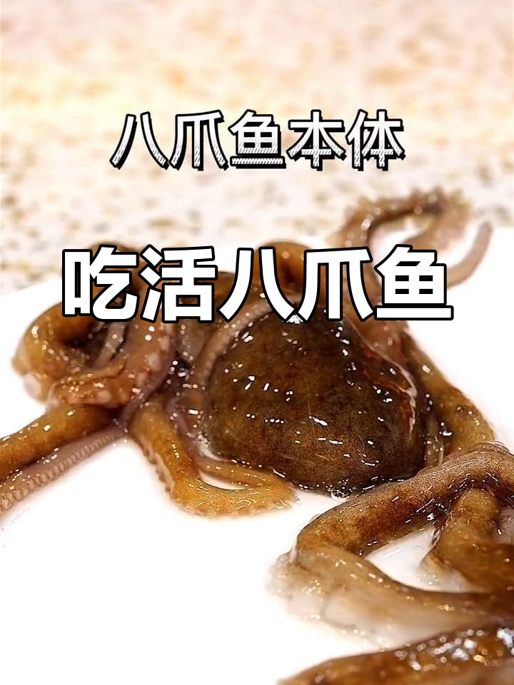 挑战活章鱼,你敢试试吗?