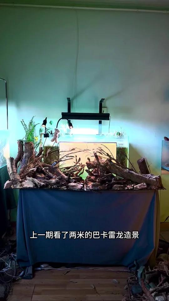 斗鱼缸造景“跟模型一样”