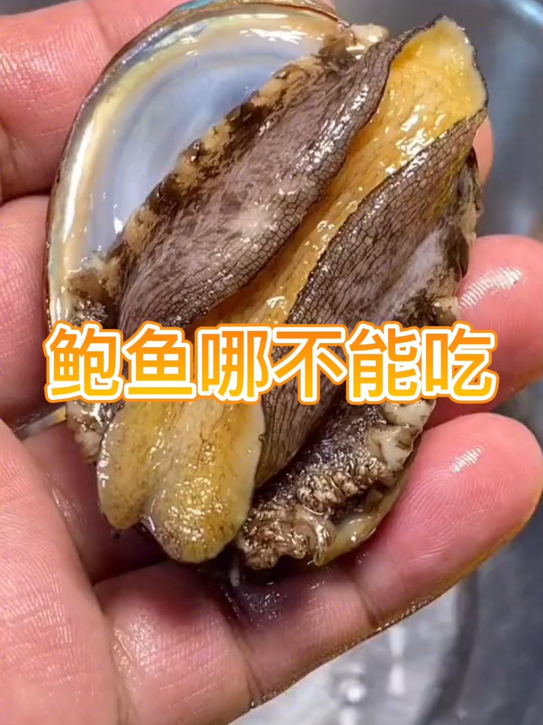 鲍鱼哪里不能吃,你知道吗?
